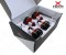 Xnova FPV Brushless Motor SET 2207-2300KV M5 Welle 3-4S