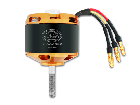 sco-391_big.jpg sco-391_big.jpg